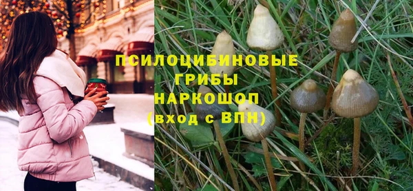 spice Балабаново