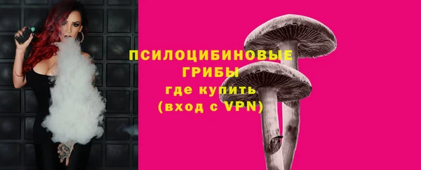 spice Балабаново