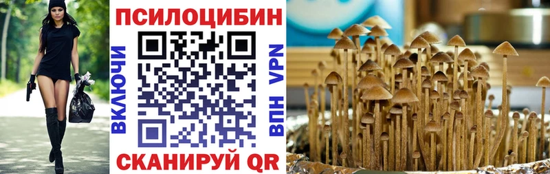 закладки  Володарск  Псилоцибиновые грибы ЛСД 